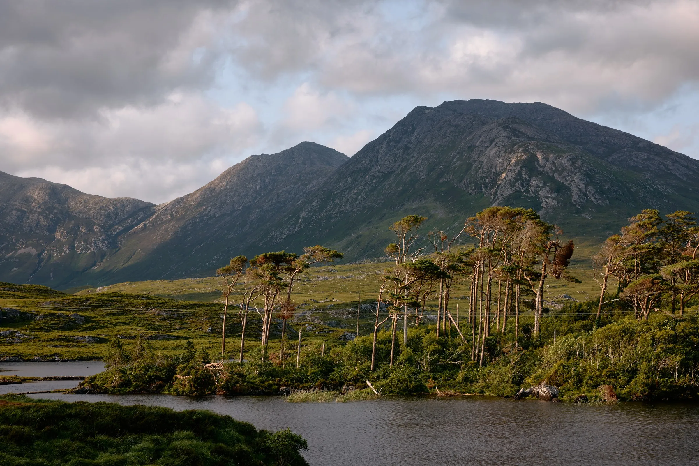 A scenic landscape with a lake in the foreground, trees on the bank, and large mountains under a cloudy sky.