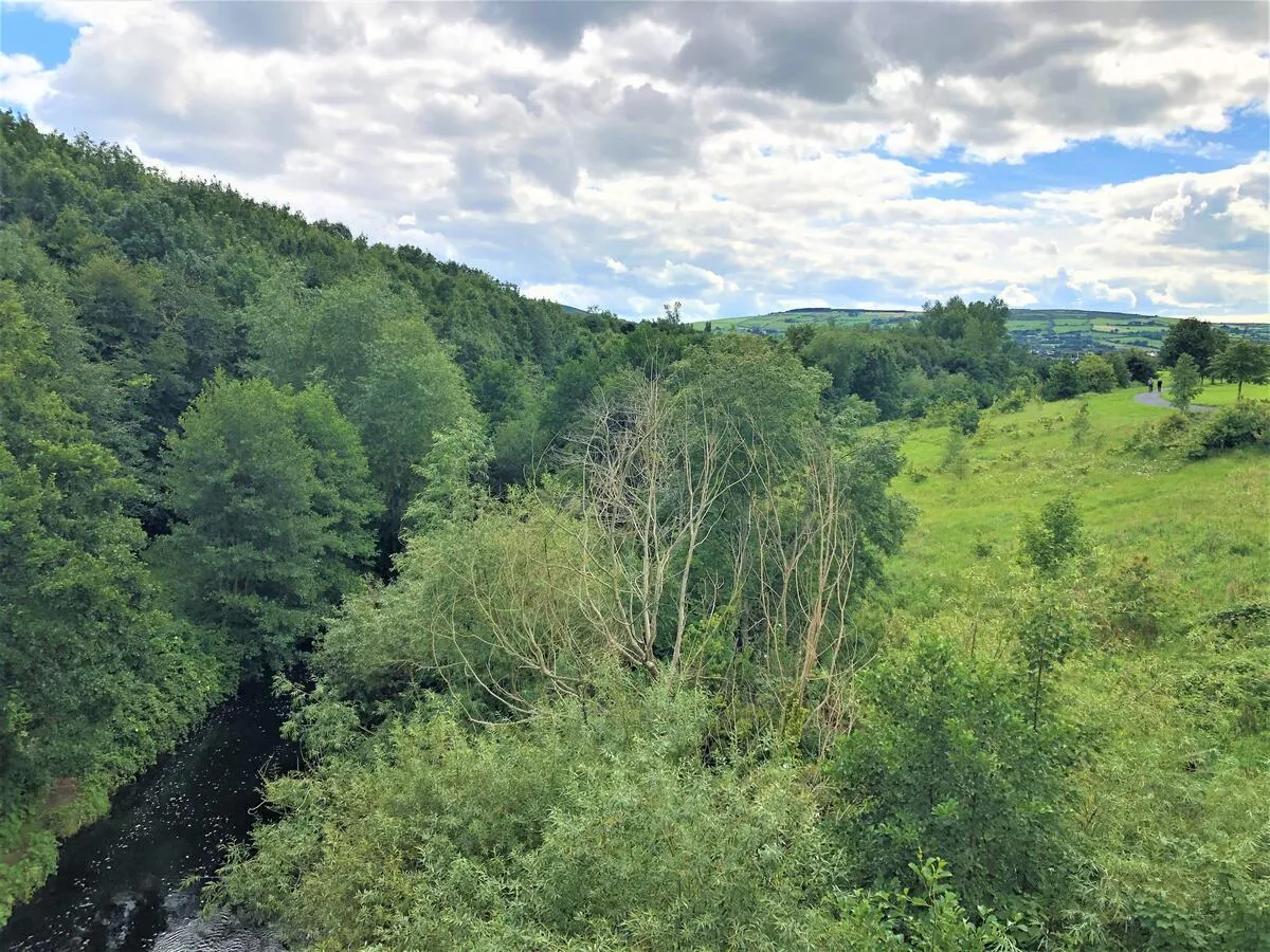 A river flows through a valley with dense trees on the left and a grassy hill on the right.