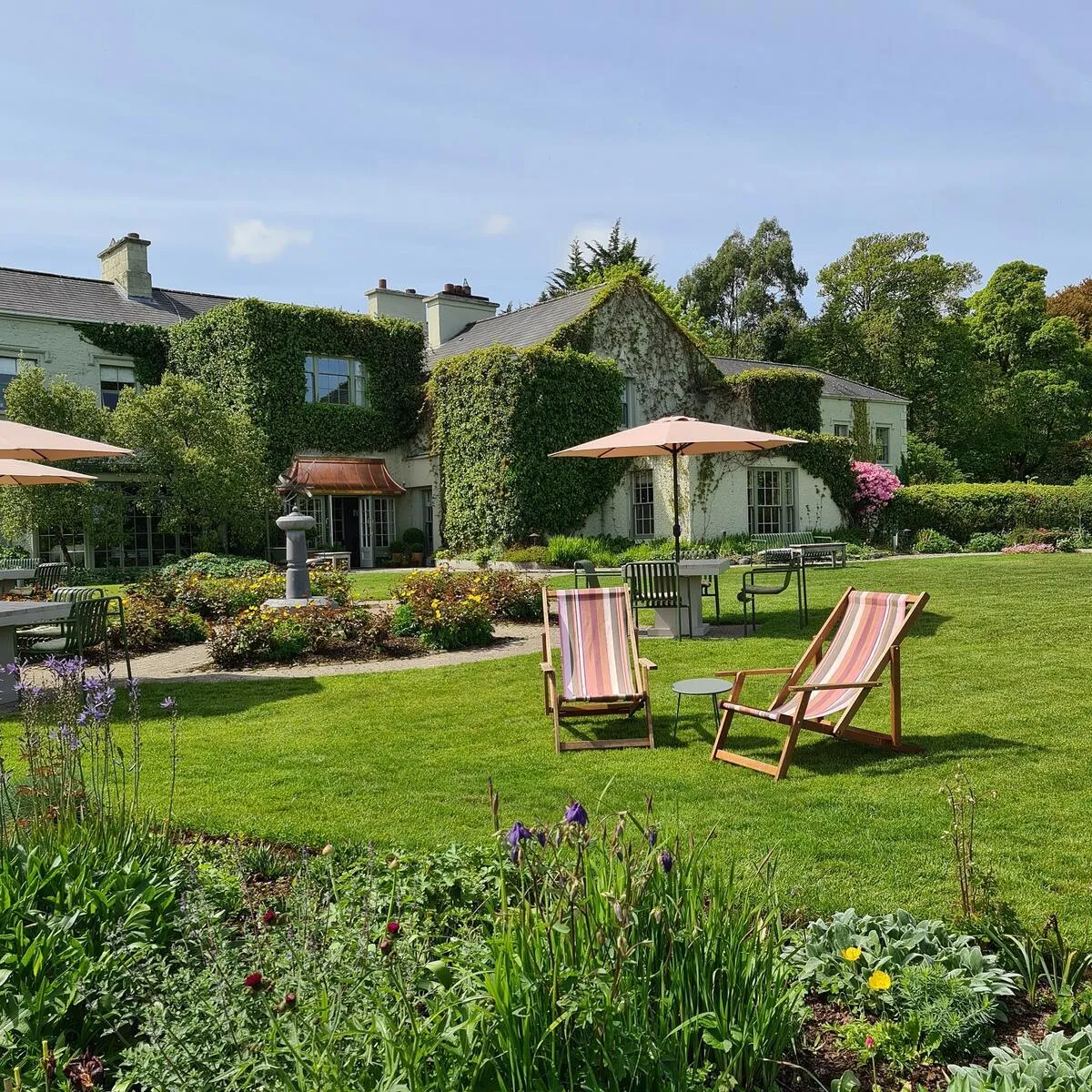 Two striped deck chairs on a green lawn in front of a white building covered in ivy.