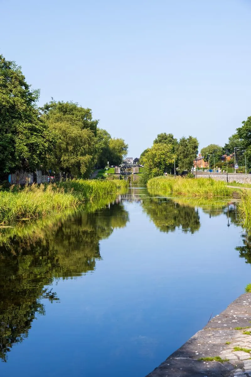 A calm canal with green reeds and trees on the banks reflecting in the blue water.