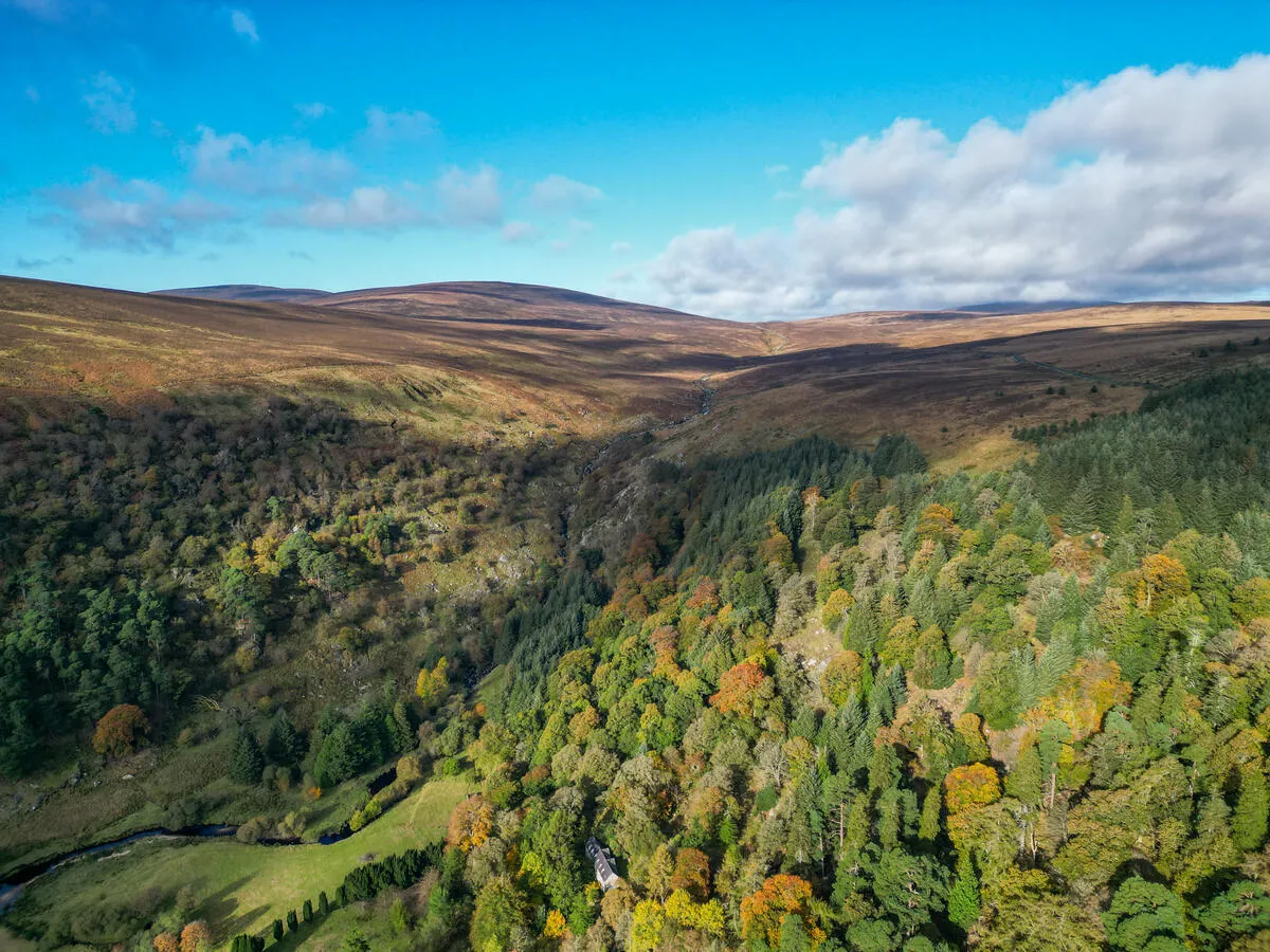 Aerial view of Sally Gap showing a valley with autumn trees, a stream, and brown hills under a blue sky.