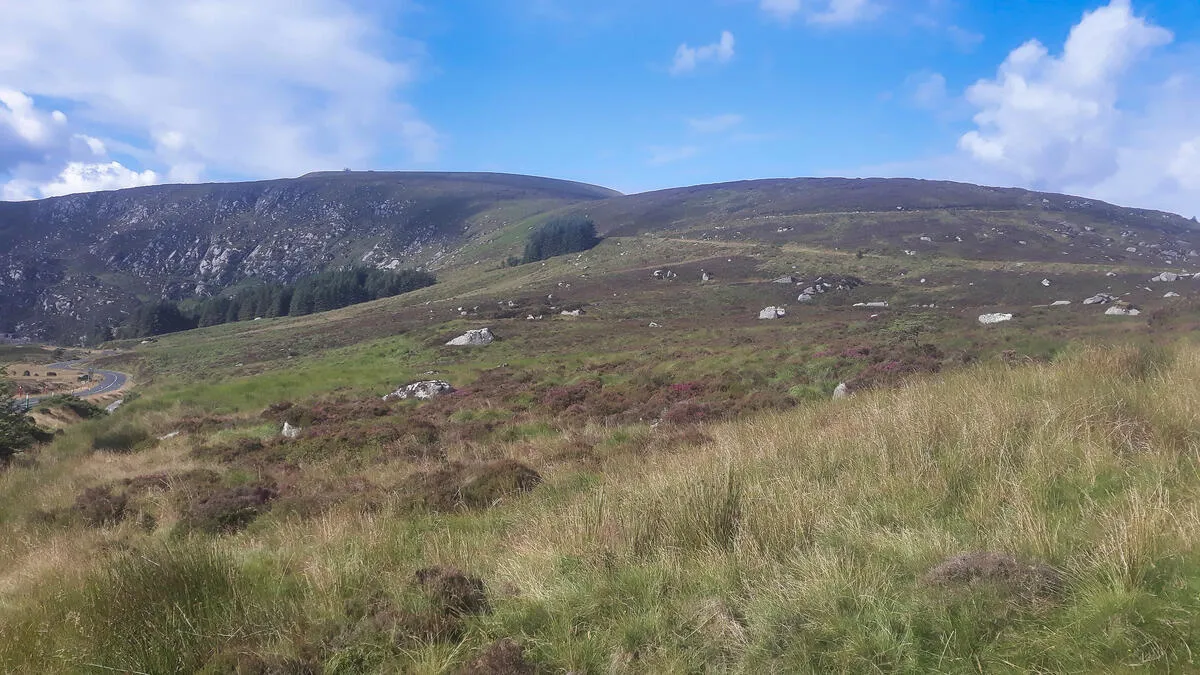 Grassy hills with scattered rocks and a winding road leading towards distant mountains under a blue sky.